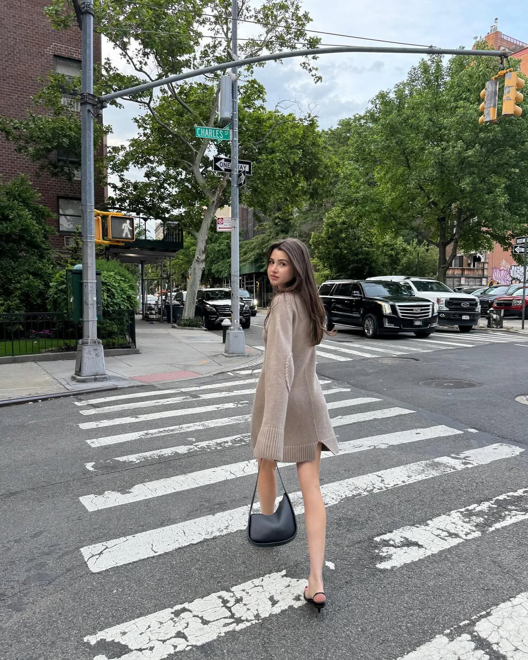 ruffle mini dress long sleeve Nimah Chiffon Ruffle Mini Dress / Wine | MESHKI